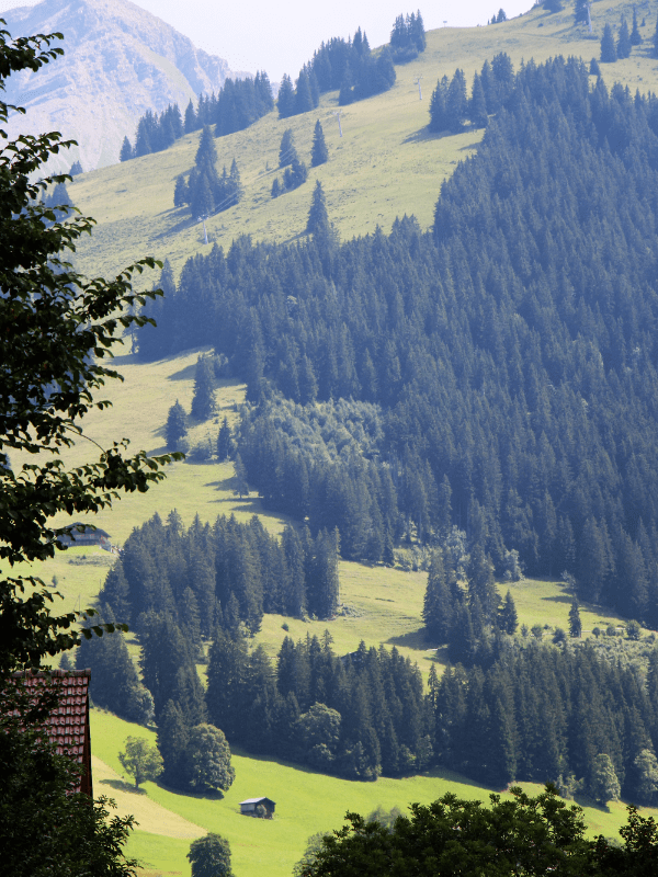 Luxury Real Estate Agency Gstaad, Switzerland